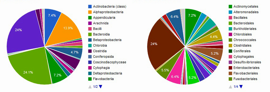 OC-16S Taxonomy Distribution Family & Genus 1